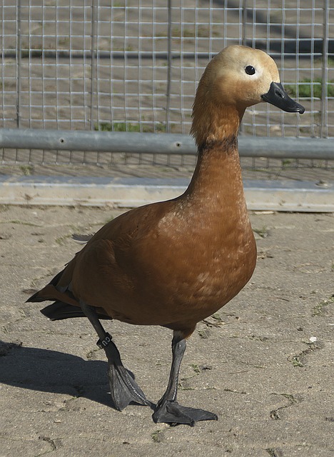 看点