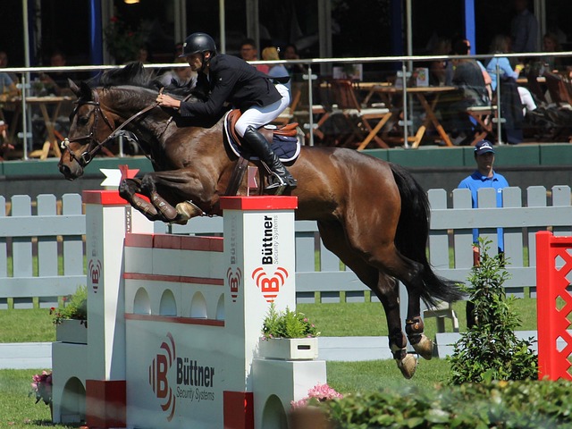 庆生的故事 庆生的故事