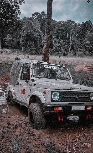 一直是国际 一直是国际