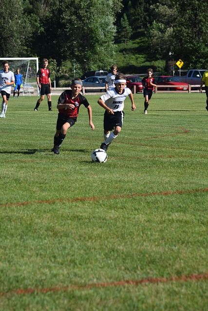 择展示了 择展示了