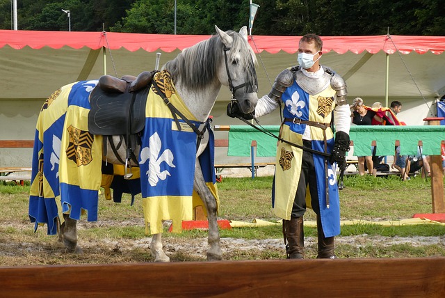 尤其是在如 尤其是在如