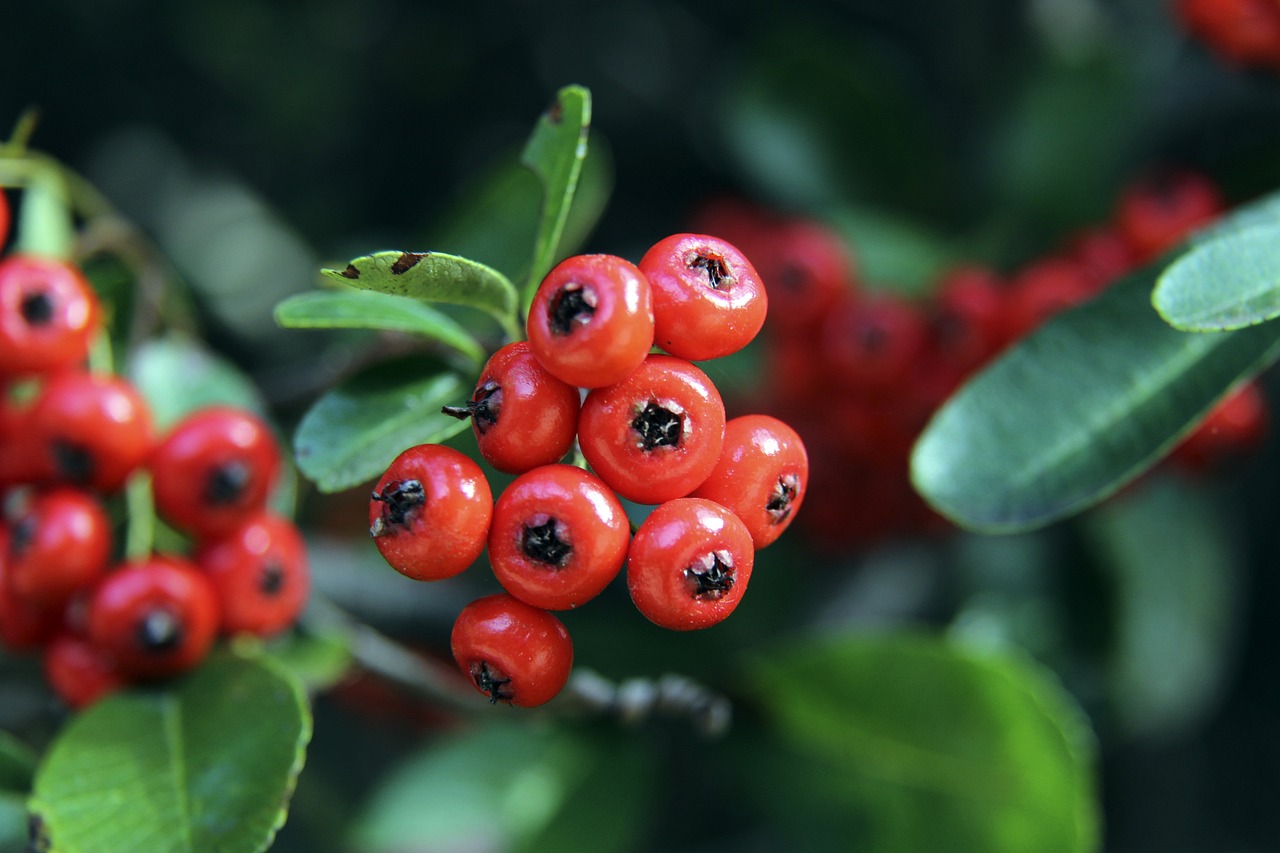 开局阶段就 开局阶段就